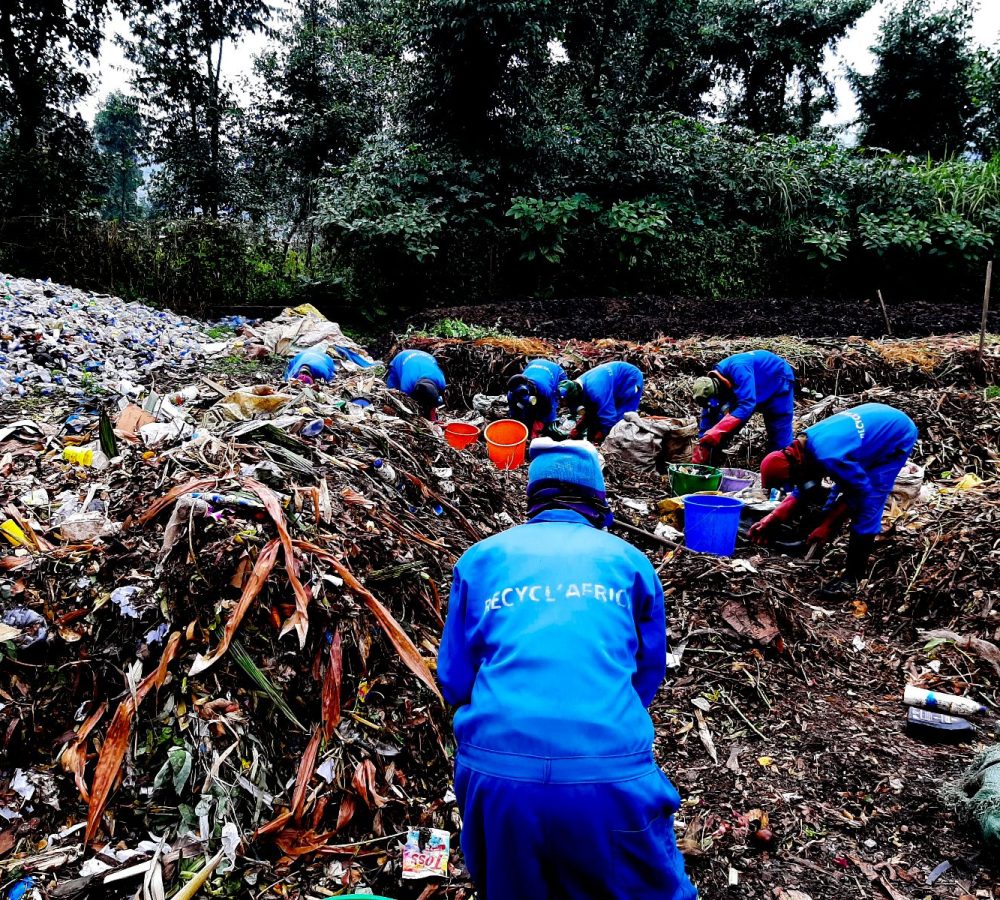 Biodiversity conservation work